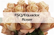 FSQ/Equador